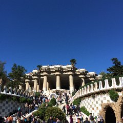IMG 129